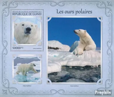 Produktbild von Briefmarken Guinea 2017 Mi Block 2744 (kompl. Ausgabe) postfrisch Eisbären