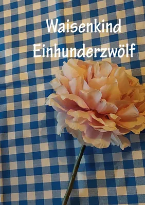Produktbild von Waisenkind Einhundertzwölf