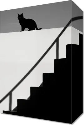 Produktbild von Bild 20x30cm Silhouette und Symmetrie