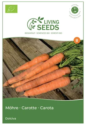 Produktbild von Möhre Dolciva 6.1g Saatgut von Living Seeds