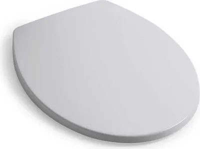 Produktbild von Duroplastischer Toilettensitz mit Soft Close | Patascoss