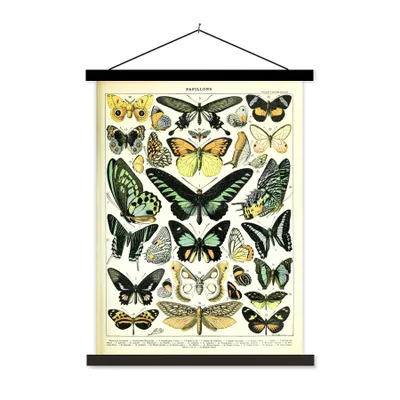 Produktbild von MuchoWow® Textilposter Schmetterling - Tiere - Vintage 90x120 cm mit schwarzem Rahmen - Dekoration