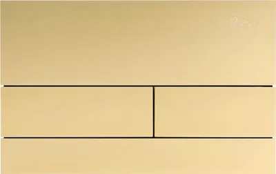 A close-up, front-facing view of a gold flush plate for a toilet.