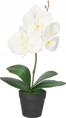Image de Orchidée Orchidée fleurs artificielles dans un pot