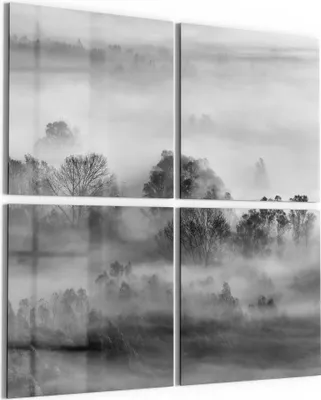 Produktbild von DEQORI Glasbild Echtglas 4x50x50 cm 'Nebelgeflüster' Wandbilder XXL groß