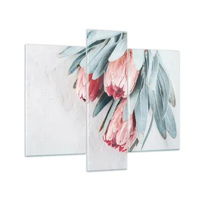Produktbild von Bilder auf glas - 3 Teile - Blume Eukalyptus Australier - 95x80cm - Glasbilder - Wandbilder - Bilder - zum Aufhängen bereit - Wanddekoration aus Glas - Glas Bilder - Wandbild auf Glas - GCB95x80-5016