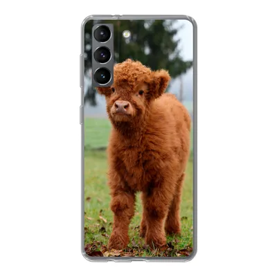 Produktbild von MuchoWow® Handyhülle Schutzhülle Hülle für Samsung Galaxy S21 Scottish Highlander - Kalb - Gras Silikon Softcase Handy Hülle - Softcase