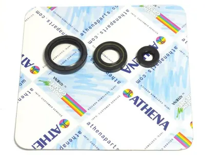 Obrázek produktu pro Sada těsnění motoru ATHENA P400220400263
