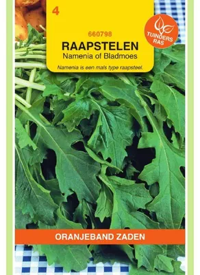 Productafbeelding van Oranjebloem (Blattstielgemuese, Namenia) - 1 verpakking zaad