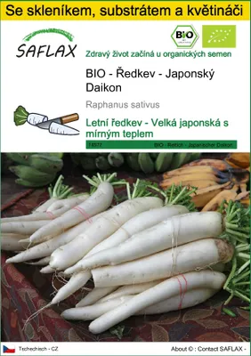Obrázek produktu pro SAFLAX Kultivační sada - BIO - Ředkev - Japonský Daikon - Raphanus sativus - 100 Semena - S mini skleníkem, pěstebním substrátem a 2 květináči