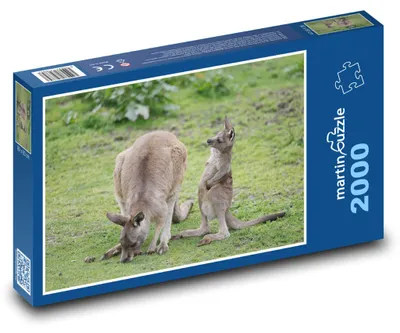 Obrázok produktu pre Puzzle 2000 Kenguria rodina na lúke - martinpuzzle