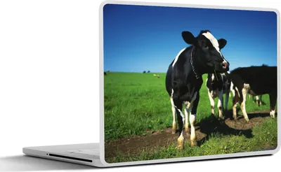 Produktbild von MuchoWow® Laptop Aufkleber Sticker Cover Kuh - Gras - Tiere 36.5x27.5 cm - Laptop-Sticker