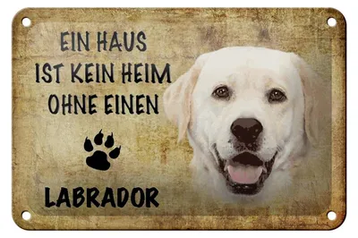 Produktbild von Blechschild Spruch 18x12cm Labrador Hund ohne kein Heim