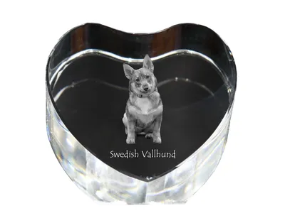 Produktbild von Schwedischer Vallhund, Västgötaspets, Westgotenspitz - Hundebild im Kristall, Kristallherz, einzigartiger Bilderrahmen der Marke Art-Dog