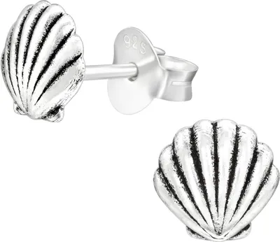 Produktbild von Ohrringe Ohrstecker 925er Sterling Silber mit Meeresmuschel