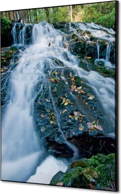Produktbild von Showdown Spannstoff Wanddekoration - Set DIN A2 - Wasserfallwald - Schwarzer Rahmen