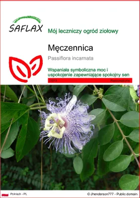 Zdjęcie produktu dla SAFLAX - Męczennica - 5 Nasiona - Passiflora incarnata