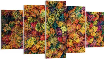 Produktbild von Bild auf Leinwand - Leinwandbild - 5 Teile - Herbst Perspektive Vogel - 160x85cm - Wand Bild - Wanddeko - Wandbilder - Leinwanddruck - Bilder - Wanddekoration - Leinwand bilder - EA160x85-4478
