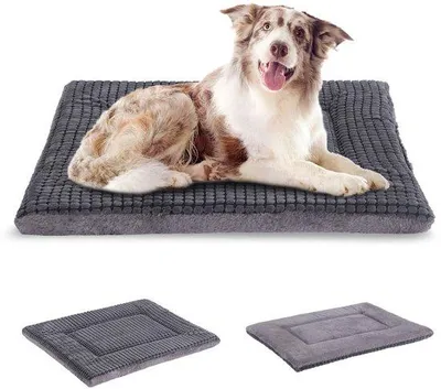 Produktbild von Orthopädisches Hundebett, waschbares Kissen, grau, 91x58x4cm