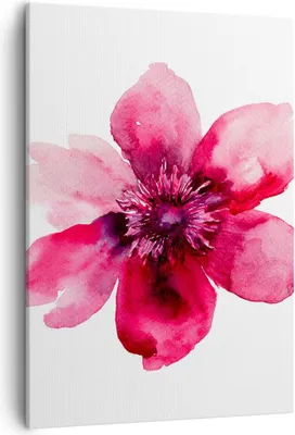 Produktbild von Bild auf Leinwand - Leinwandbild - Einteilig - Malerei Illustration Sommer Blume - 50x70cm - Wand Bild - Wandbilder - Leinwanddruck - Wanddekoration - Leinwand bilder - Wandbild - PA50x70-2789
