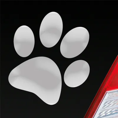 Produktbild von Auto Aufkleber Hundepfote Pfote Hund Fote Tatze 10x11 cm Silber Sticker Heckscheibenaufkleber