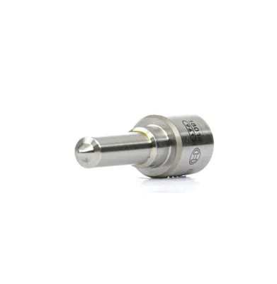 Image de BOSCH Düse 0 433 433 175 313
