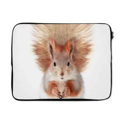 Produktbild von MuchoWow® Laptop Hülle 15 Zoll Eichhörnchen - Tiere - Natur - Orange - Weiß Laptoptasche - Laptoptasche - Sleeve - Rundum-Schutz