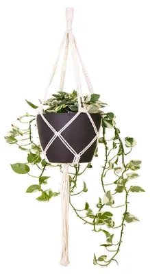 Obrázek produktu pro Artevasi Závěs na květináč MACRAMÉ, 100 cm, Macrame, bílá