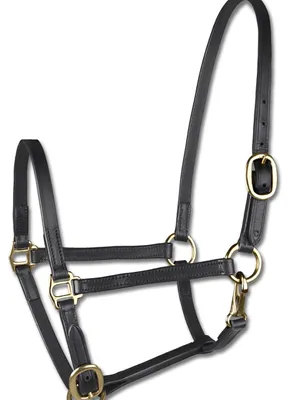 Produktbild von Waldhausen Halfter STAR Fohlenvorführhalfter Leder Schwarz WB