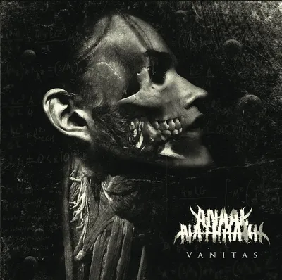 Produktbild von Anaal Nathrakh - Vanitas (Reissue) (LP)