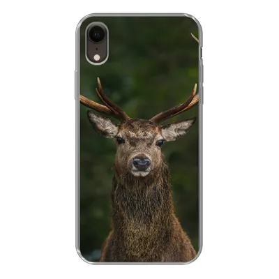 Produktbild von MuchoWow® Handyhülle Schutzhülle Hülle für iPhone XR Hirsch - Geweih - Natur Silikon Softcase Handy Hülle - Schutzdeckel