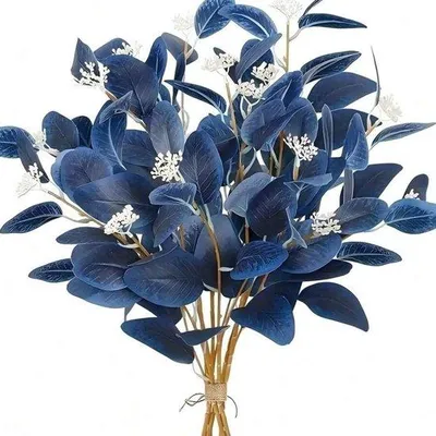 Image de Élégantes fleurs d'eucalyptus, 50 cm