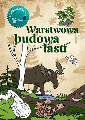 Immagine prodotto di Warstwowa budowa lasu. Kolorowanka