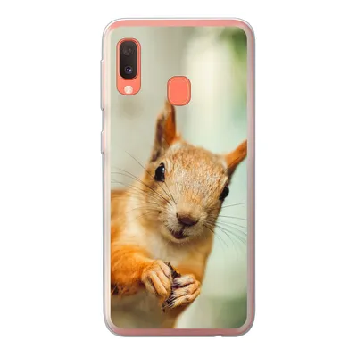 Produktbild von MuchoWow® Handyhülle Schutzhülle Hülle für Samsung Galaxy A20e Eichhörnchen - Lustig - Nuss - Kinder - Jungen - Mädchen - Kind Silikon Softcase Handy Hülle - Abdeckung