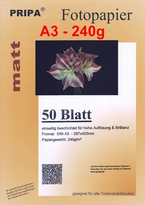 Produktbild von pripa 50 Blatt A3 240g/m² einseitig Matt