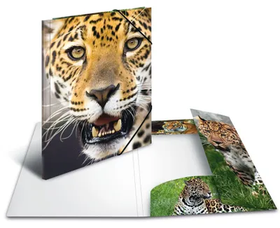 Immagine prodotto di HERMA Sammelmappe A4 Leopard Polypropylen