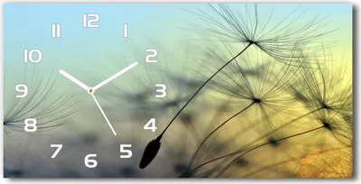Produktbild von Wanduhr aus Glas – 60x30 cm - Glasbild - Glasuhr - Gehärtetes Glas - weisse-zeiger - Löwenzahn Samen