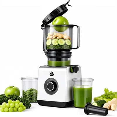 Slow Juicer 165 mm XXL-Einfüllschacht, 2,5 l, silbergrau