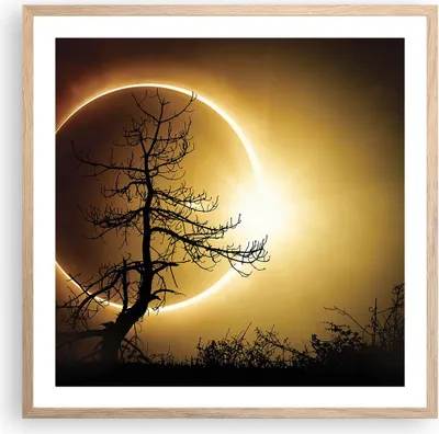 Produktbild von Gerahmtes Poster - Rahmen in heller Eiche - Sonnenfinsternis die Sonne Baum - 60x60 cm - Wand Bild - Wanddeko - Wandbilder - Wandposter - Bilderrahmen - Bilder - Kunstdruck - P2NAC60x60-4349