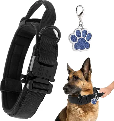Produktbild von Robuster Kontrollgriff Taktischer Hundehalsband - Verstellbar mit Metallverschluss - für mittelgroße und große Hunde - Breiter 3,8 cm Halsband - K9 Training Nylon M L