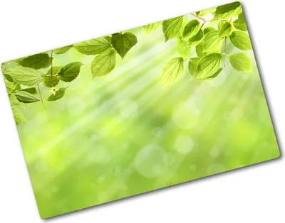 Produktbild von Tulup Glas Herdabdeckplatte - 80x52 cm - Glaskeramikkochfeld-Abdeckung Spritzschutz Glasabdeckplatte - Einteilig - Blumen & Pflanzen - Laub - Grün