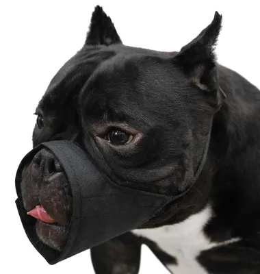 Productafbeelding van Korte snuit muilkorf, zacht muilkorf voor kleine, middelgrote en grote honden