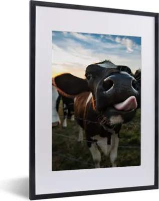 Produktbild von MuchoWow® Gerahmtes Poster Kuh - Tiere - Natur - Ausgezeichnete Zunge 30x40 cm - Poster mit Schwarzem Bilderrahmen Wandposter Rahmen Foto Bilder - Wandposter Schlafzimmer