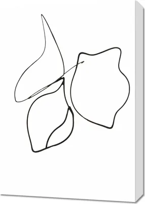 Produktbild von Bild 50x70cm Kreśla 2 Minimalistisch, Innenraum Skandinavischer Stil, Boho