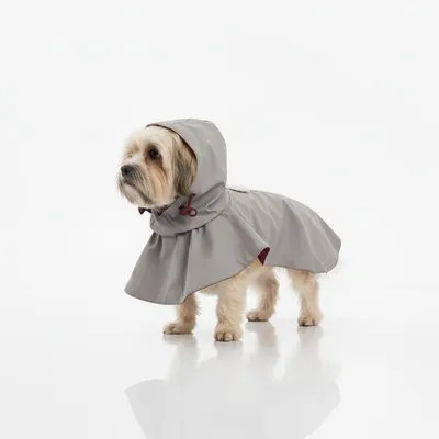 Produktbild von FERRIBIELLA Regencape Hund Wasserdicht Wind -  / S