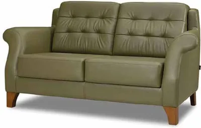 Immagine prodotto di Mobili di design a due posti Divano a 2 posti imbottito soggiorno verde legno