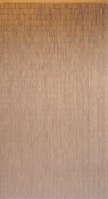 Produktbild von Türvorhang Bambus Saigon 120x220 cm