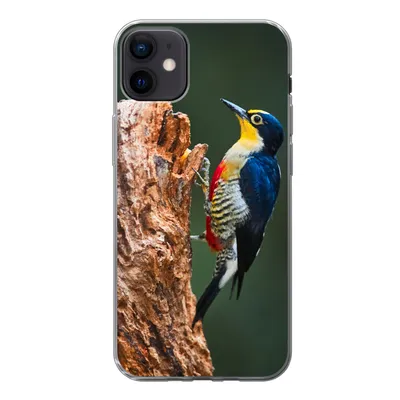 Produktbild von MuchoWow® Handyhülle Schutzhülle Hülle für iPhone 12 mini Nahaufnahme eines bunten Vogels auf der Seite eines Baumstamms Silikon Softcase Handy Hülle - Bild