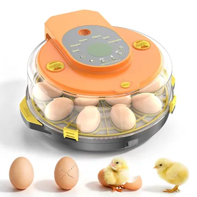 Brutmaschine für 15 Eier, vollautomatisch, orange