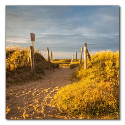 Produktbild von Wallario selbstklebende Möbelfolie/ Tischdecke für Innen und Außen, Größe: 90 x 90 cm - Düne am Strand bei Sonnenuntergang in Frankreich